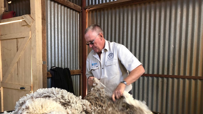 Wagga Wagga wool broker Dave Payne checks out the Merino wool clip.