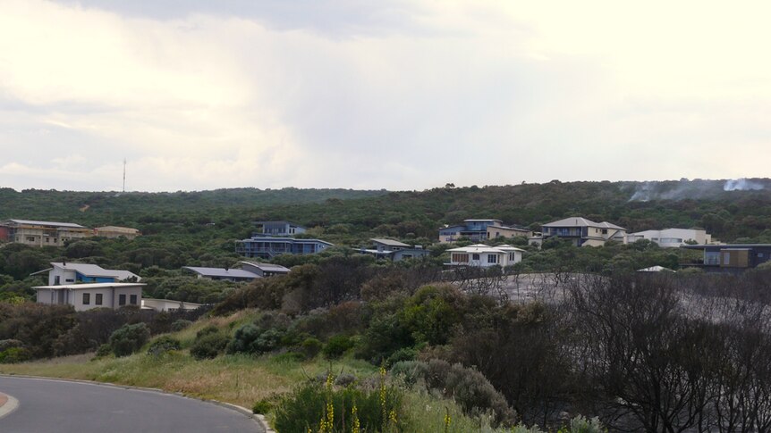 Bush scrub near coastal houses with road on the left