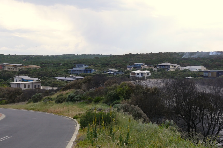 Bush scrub near coastal houses with road on the left