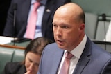 Mr Dutton at the despatch box during Question Time. He's wearing a blue suit and a pink tie.