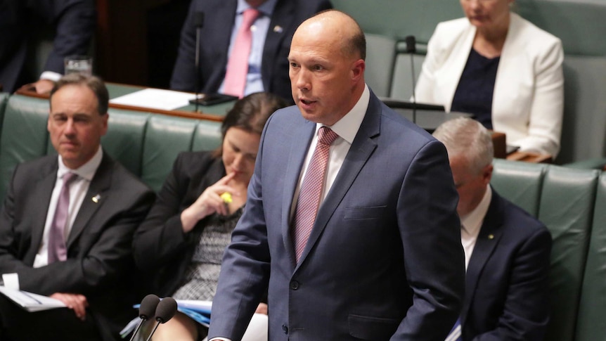 Mr Dutton at the despatch box during Question Time. He's wearing a blue suit and a pink tie.