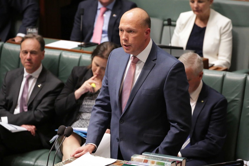 Mr Dutton at the despatch box during Question Time. He's wearing a blue suit and a pink tie.