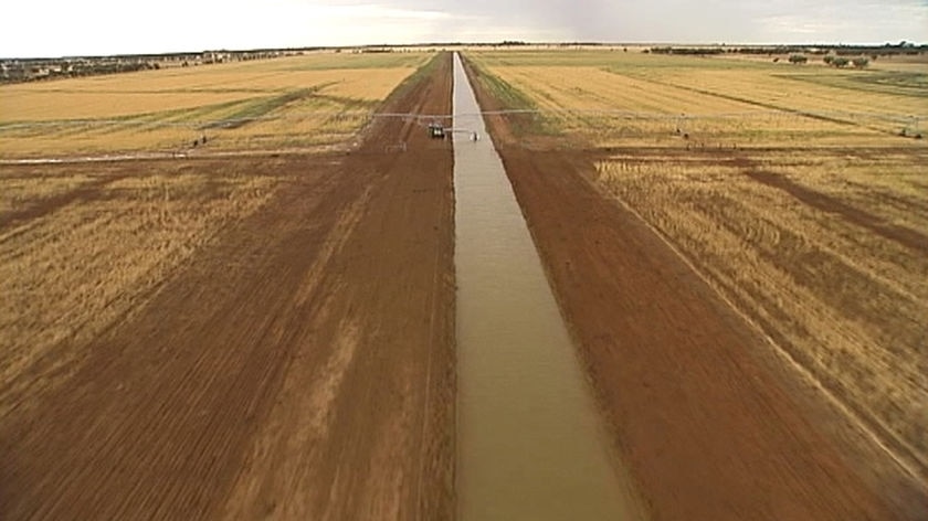 Irrigation channels are spread across 750,000 hectares of southern New South Wales.