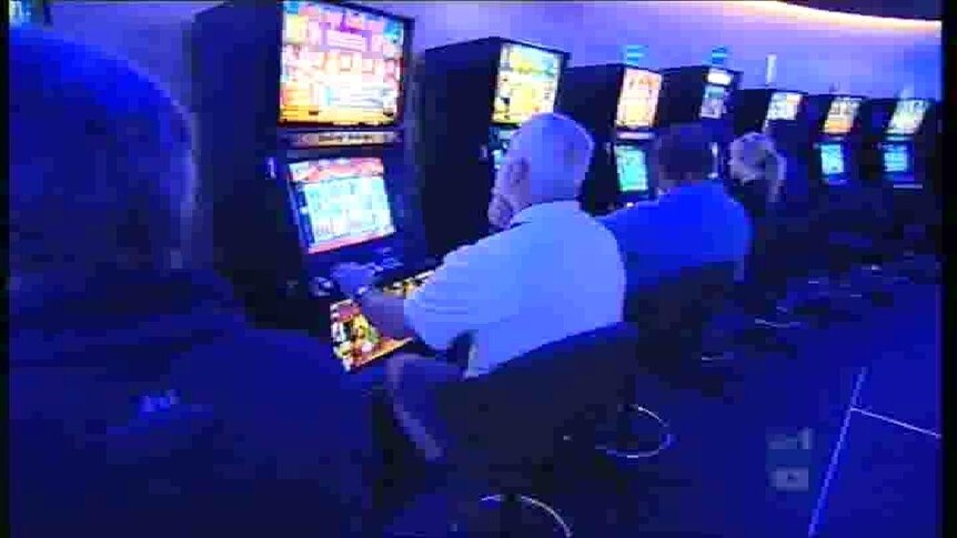 Poker machines (7pm TV News TAS)