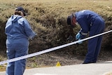 Police forensic specialists can be seen examining a crime scene behind police tape.