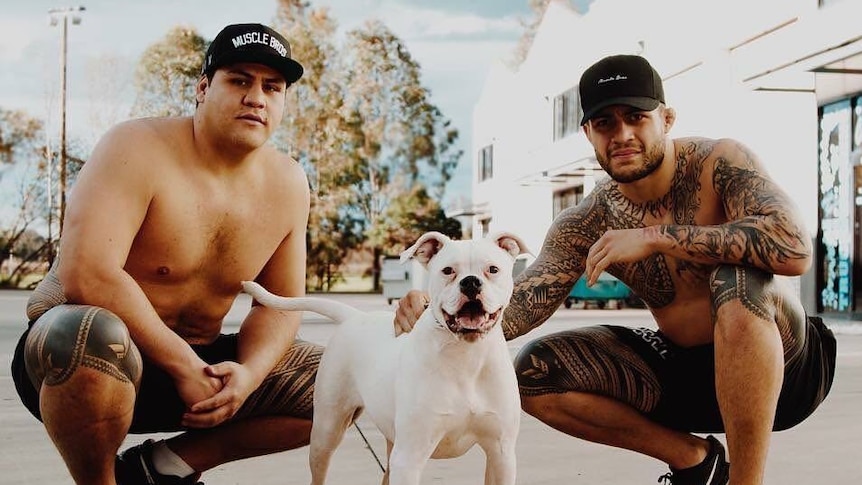 Tai Tuivasa and Tyson Pedro with a dog