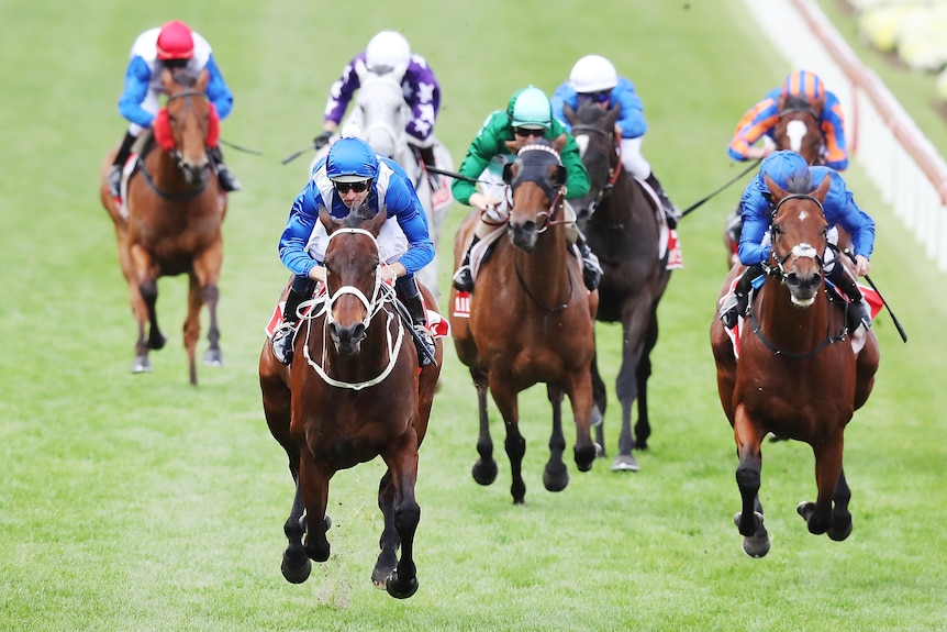 A jockey leans forward as he rides Winx galloping towards the line in the 2018 Cox Plate with a challenger on the inside.