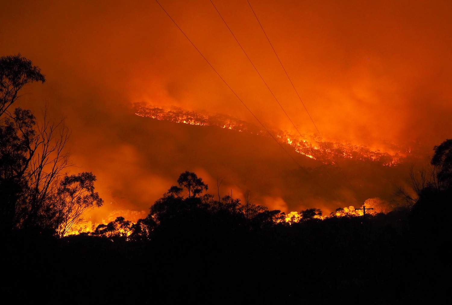 Queensland Town Evacuation Ordered As Bushfire Approaches - ABC Radio