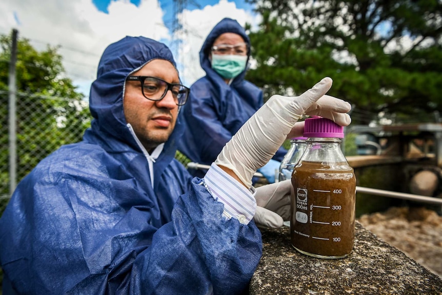 Ali Khalid seals a jar with a sewage sample inside.
