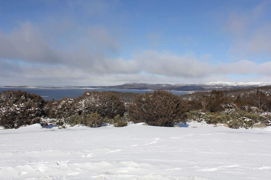 Tasmania's Great Lake in the Central Highlands.