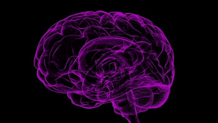 Purple light projection of a brain