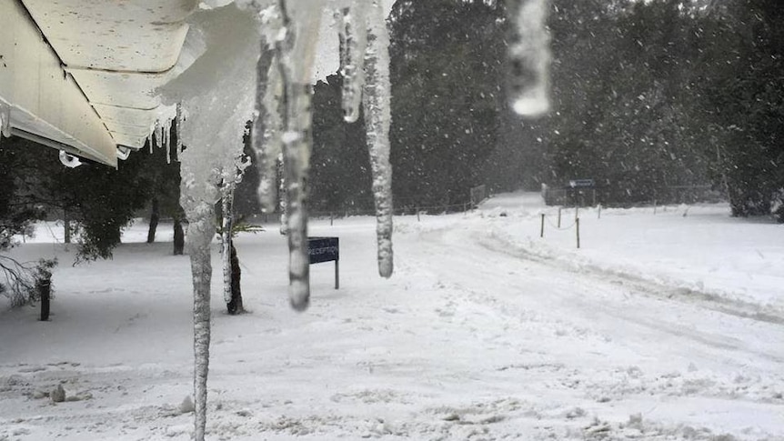 Eight guests and a number of staff were snowed in at Pumphouse Point earlier this week.