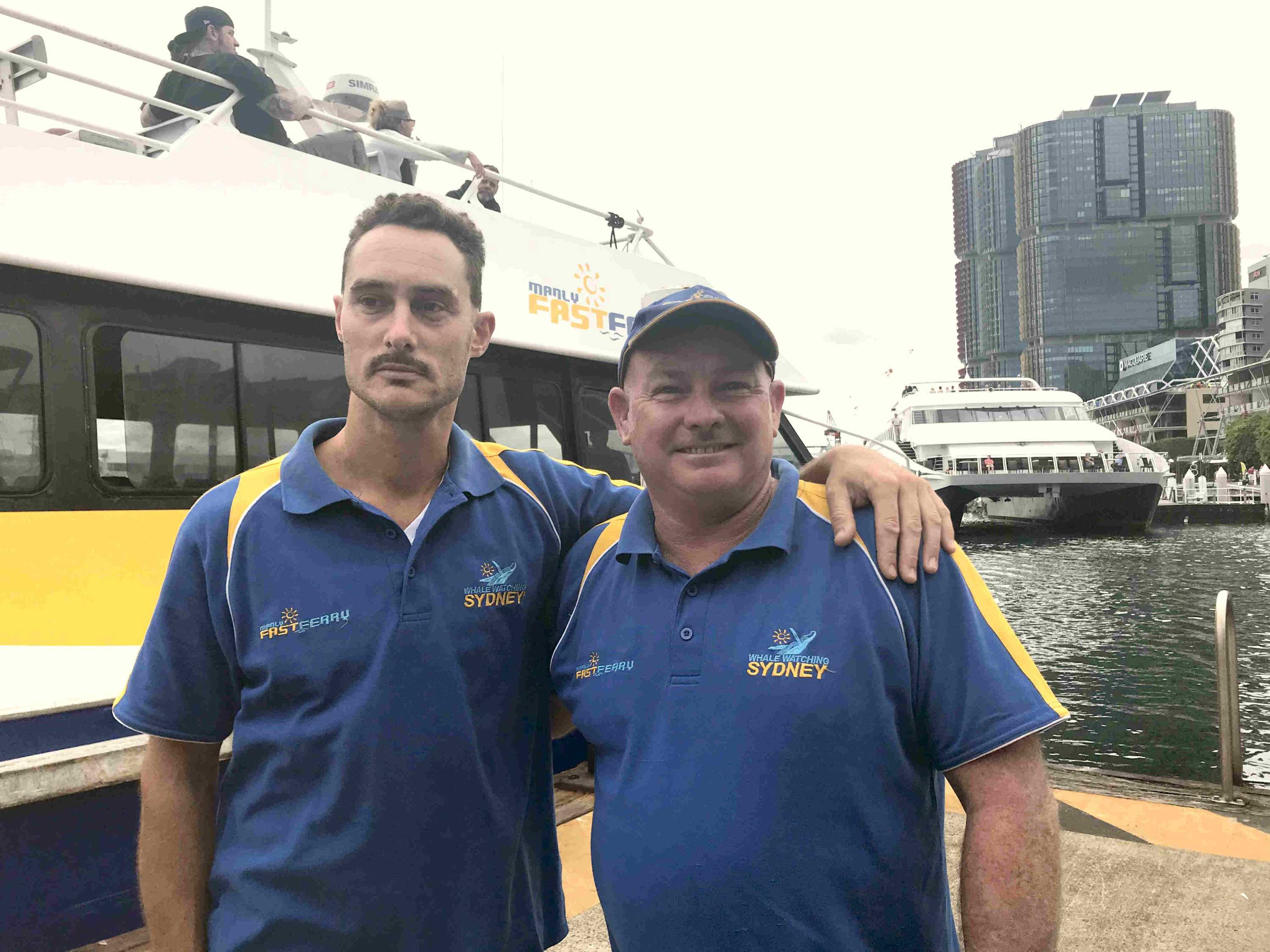 Wallaby rescued from Sydney Harbour by Manly ferry workers ABC News