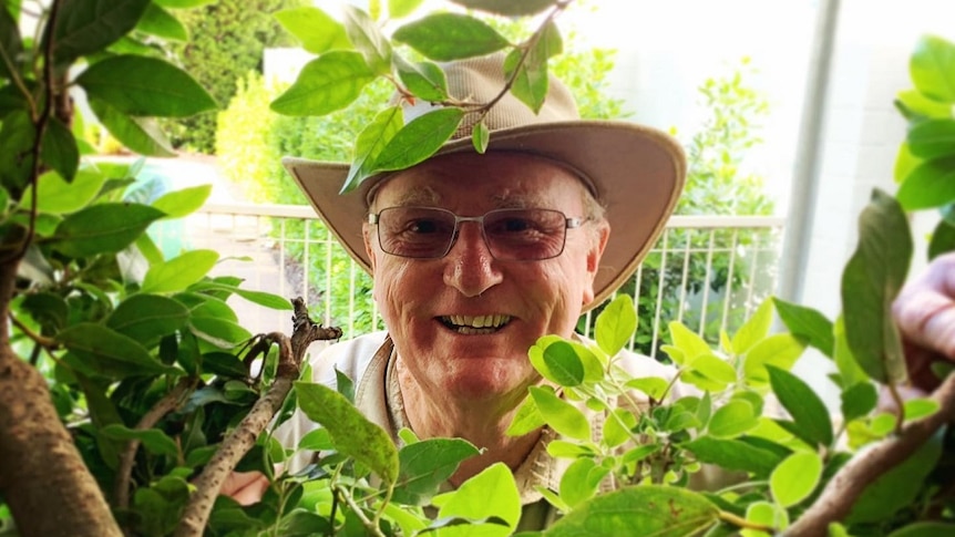 A man in a wide-brimmed hat wearing glasses peers through a hedge