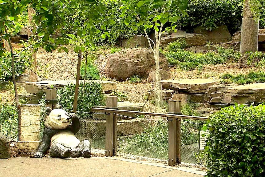 Adelaide Zoo's giant panda enclosure.