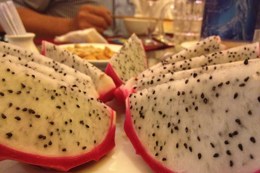 Dragon fruit in NT