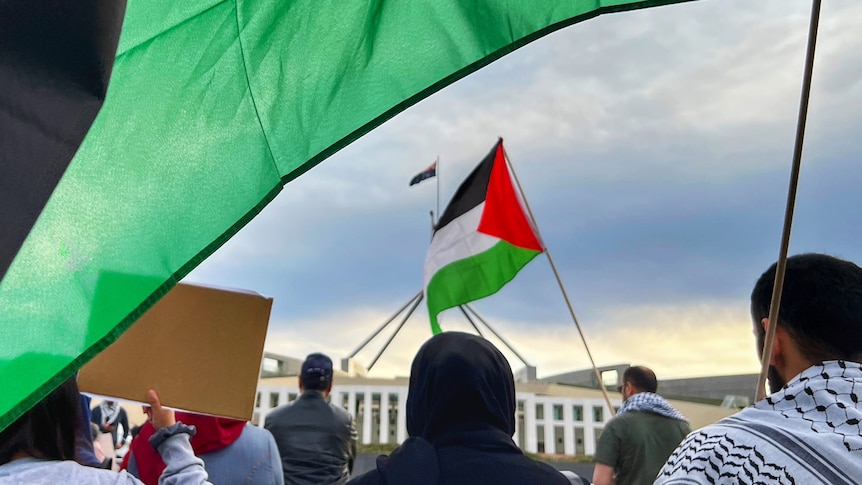 Supporters hold signs and flags at a pro-Palestine rally outside Parliament House in Canberra.