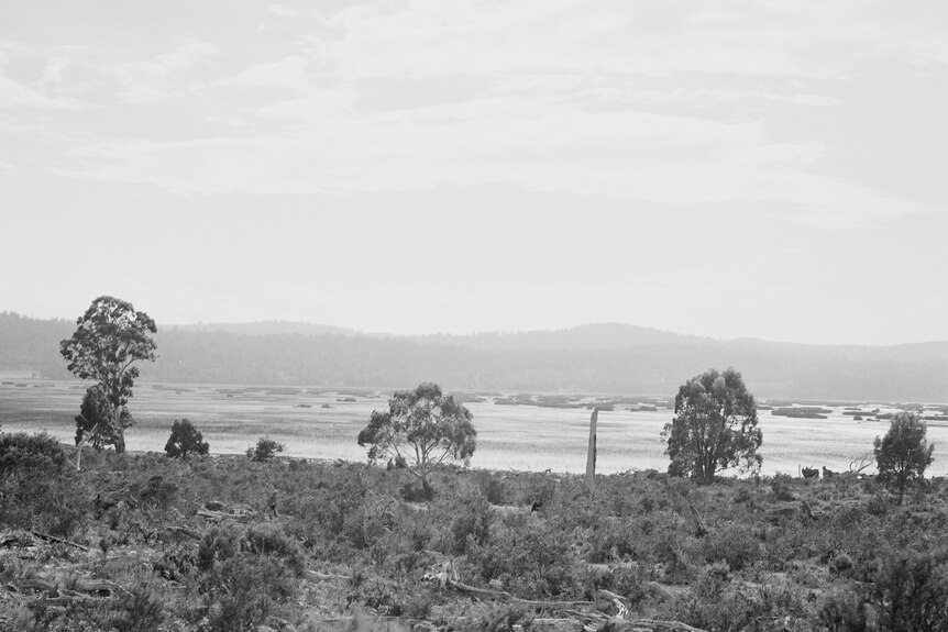 A black and white photograph showing some low scrub, a few trees and a lake, with hills in the distance