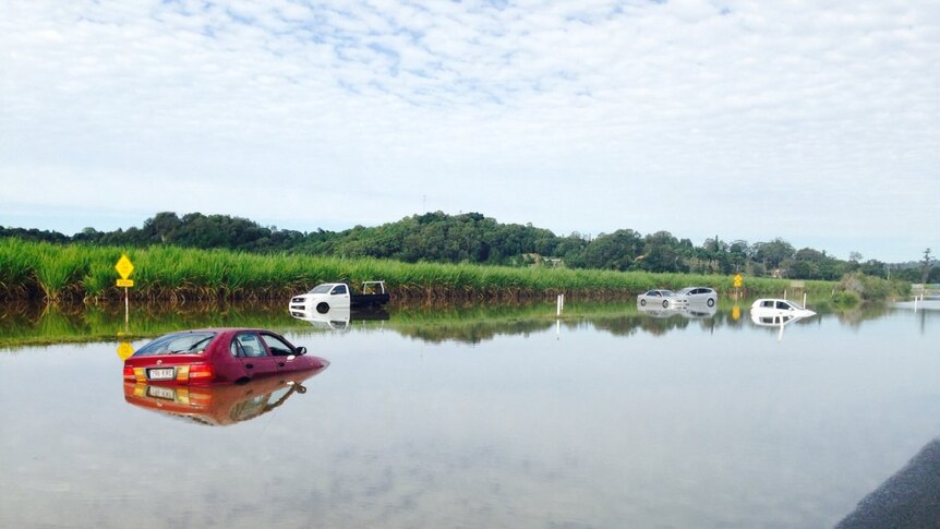 Cars stranded after Tweed River breaks banks