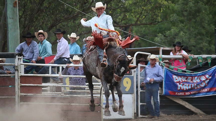 Cowboy wearing a white hat holds on tight during saddle bronc ride.