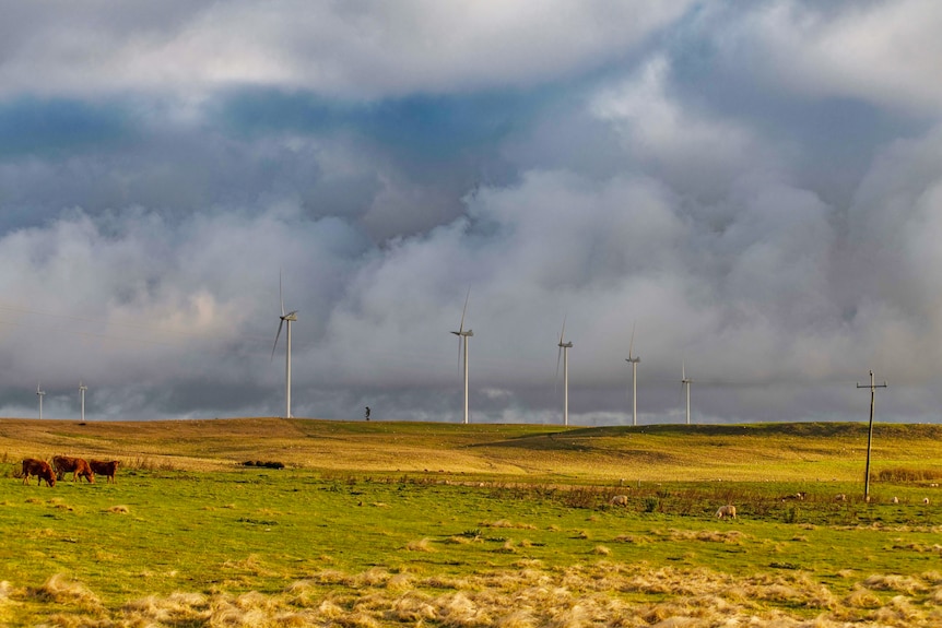 drak grey skies over a field with wind farms in taralga north of goulburn new south wales
