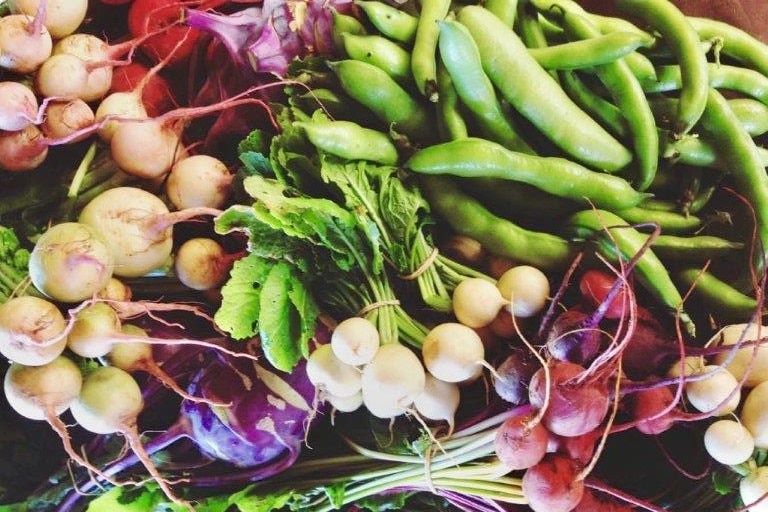 Different coloured radishes and beans.