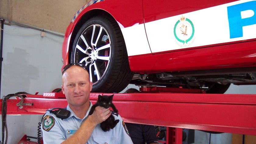 An officer from from Fairfield Highway patrol with the kitten, nicknamed Cartwright.