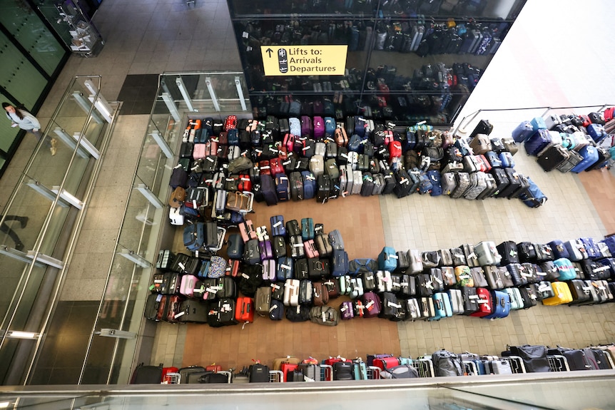 A group of luggage of different colours lined up on a wooden floor.