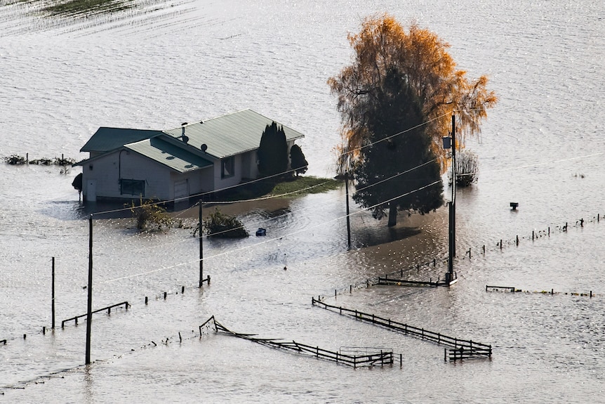 A house on a farm is surrounded by floodwaters