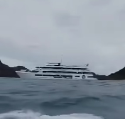 A screengrab of social media video showing a cruise ship. 