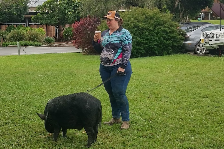 A woman stands in a park on green grass with pig on a lead.