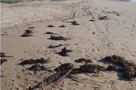 A sandy beach showing tyre tracks leading up to a wreck buried beneath the sand.