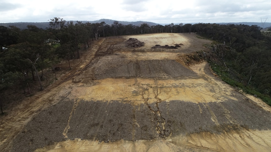 land clearing 1