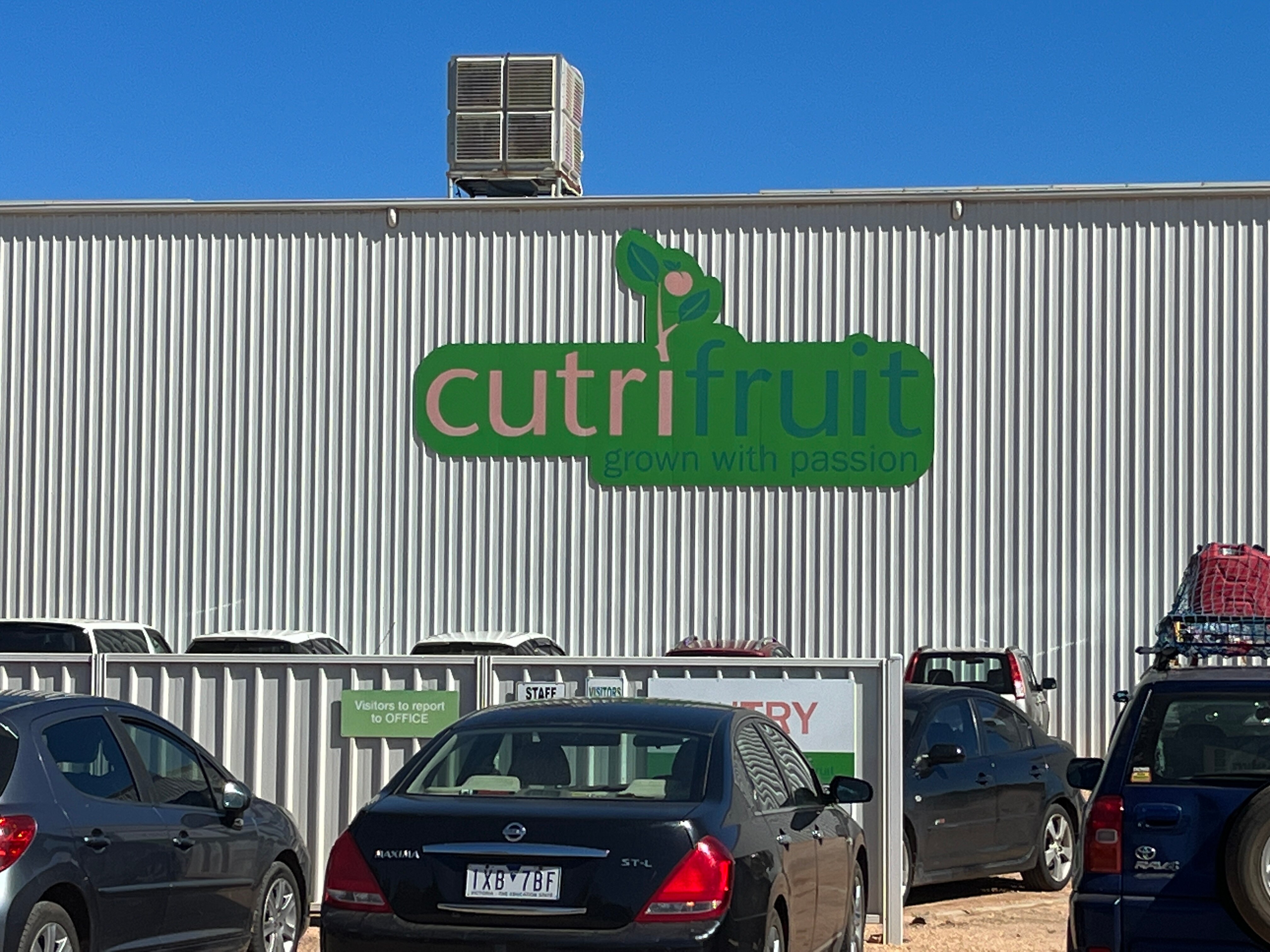 Court fines fruit grower after picker dies in fall from moving trailer