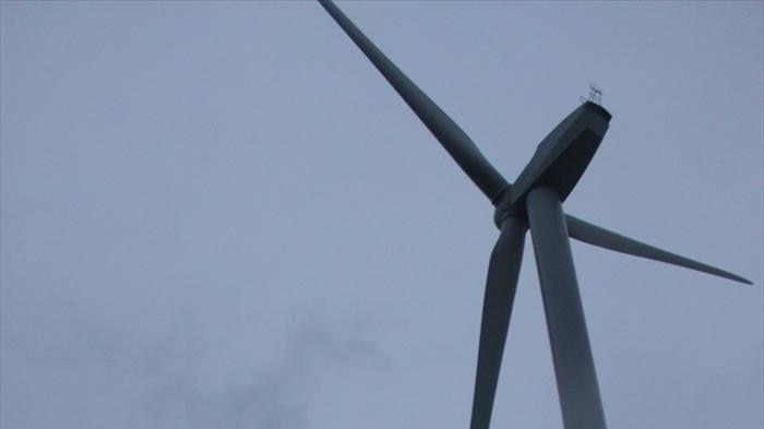 A wind turbine at Cape Bridgewater, Victoria (file photo)