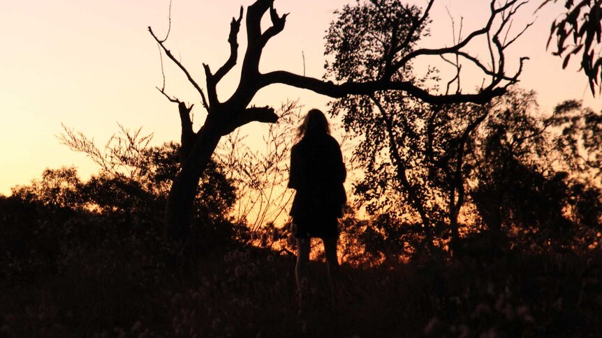 A figure and trees are silhouetted against a sunset