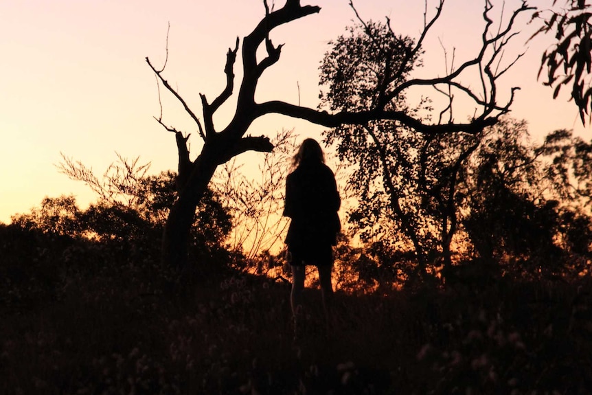 A figure and trees are silhouetted against a sunset