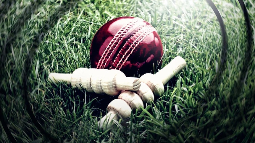Cricket ball and bails on grass