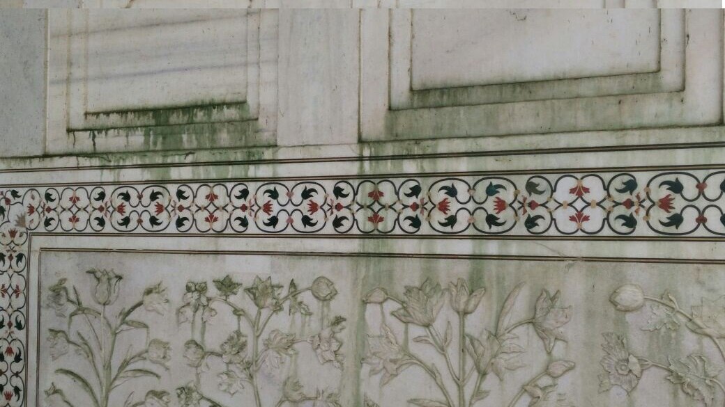 Taj Mahal turning green as insect excrement stains monument's white