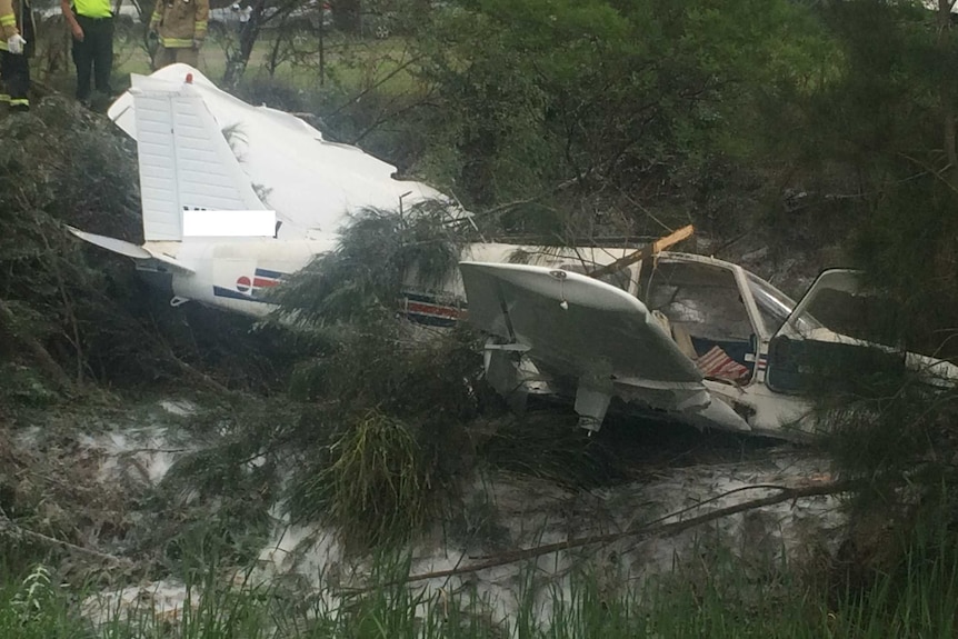 Firefighters look at a plane