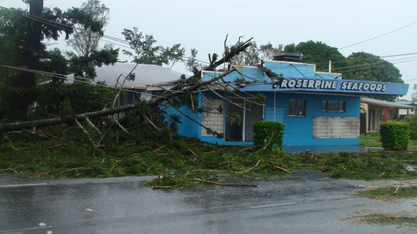 A fallen tree brought down power lines and damaged a shop front at Proserpine.