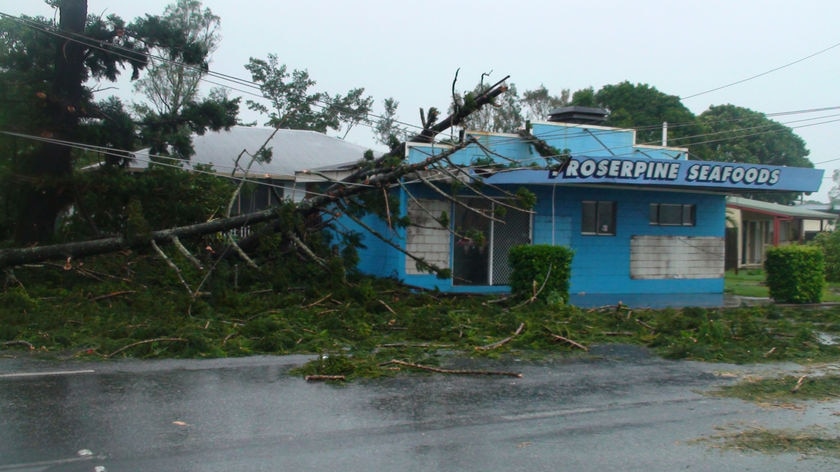 A fallen tree brought down power lines and damaged a shop front at Proserpine in north Queensland.