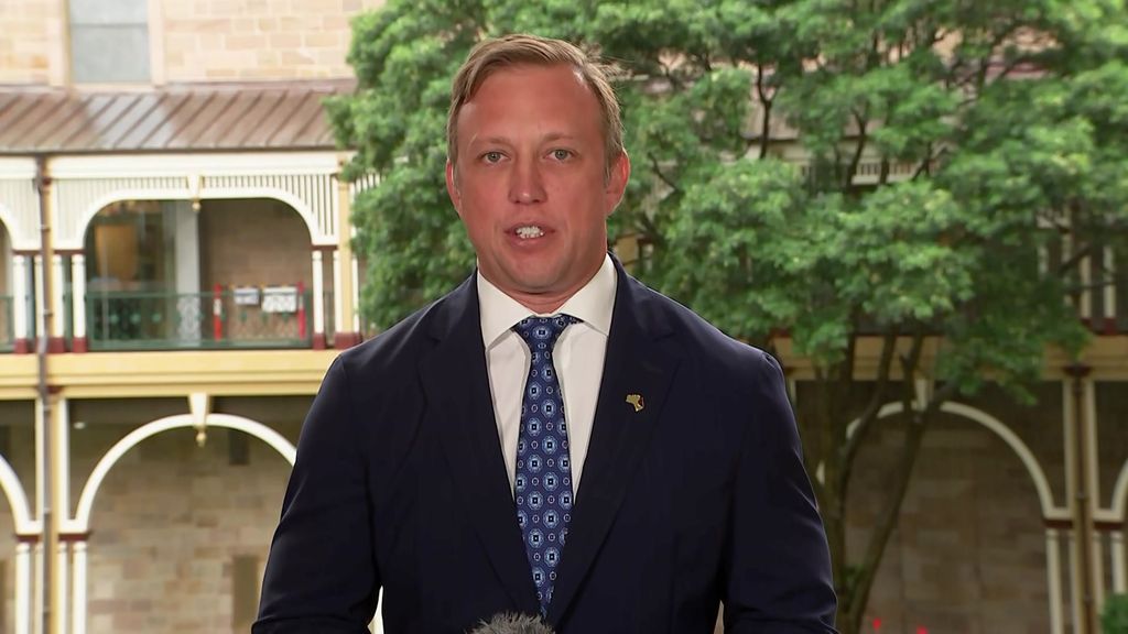 Queensland government launches major crackdown on youth crime - ABC News