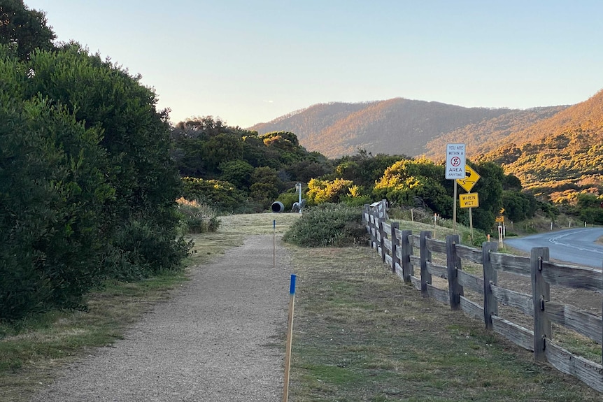 Wooden markers with blue tops line a pathway next to a timber fence and a road.