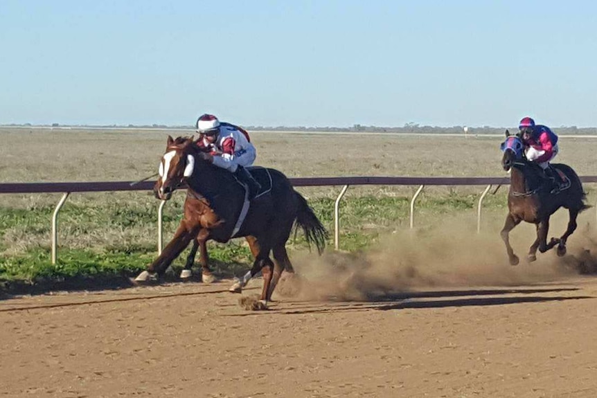 Horses racing on a dusty outback track.