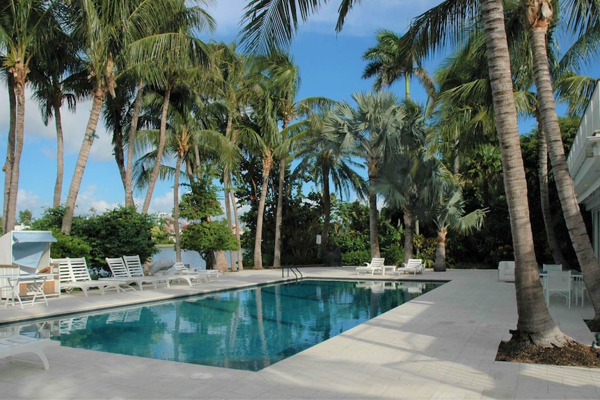 A luxurious pool surrounded by palm trees 