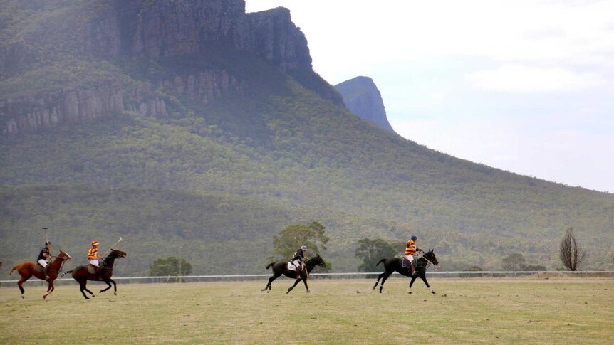 Polo players  chasing the ball in front of mountains.