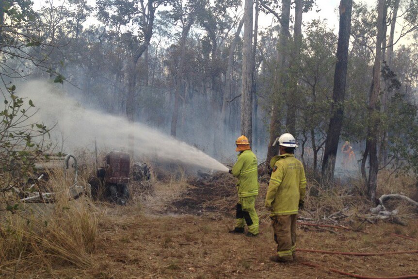 Firefighters in action at Mount Chalmers