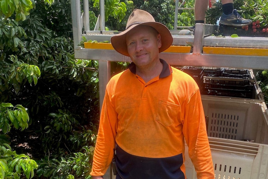 a man wearing a hat and fluro orange shirt standing in front of lychee trees