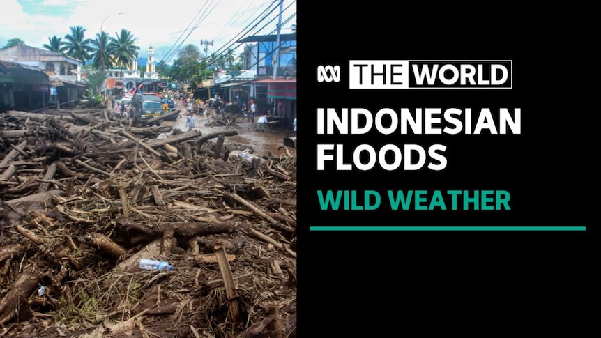 Indonesian Floods, Wild Weather: Tree branches and tree limbs lying in a pile on the road with houses in the background